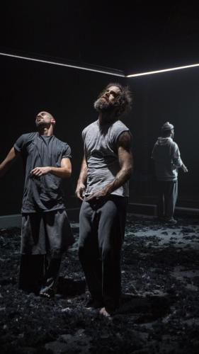 Amanda-Harput-©-Birds-34